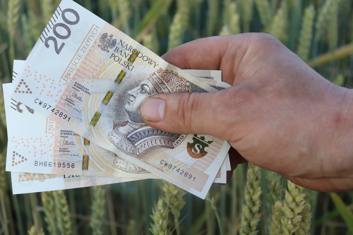 Ponad 672 mln zł na kontach rolników, którzy sprzedali pszenicę lub grykę po 14 kwietnia