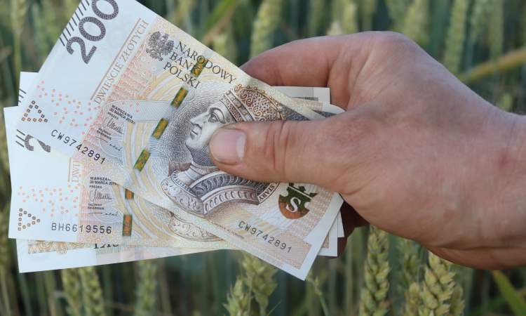 Ponad 672 mln zł na kontach rolników, którzy sprzedali pszenicę lub grykę po 14 kwietnia