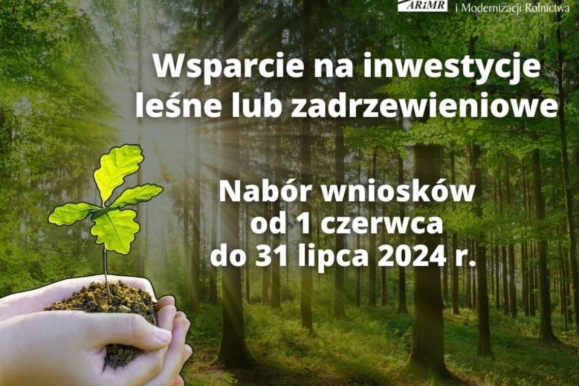 Pieniądze na inwestycje leśne lub zadrzewieniowe