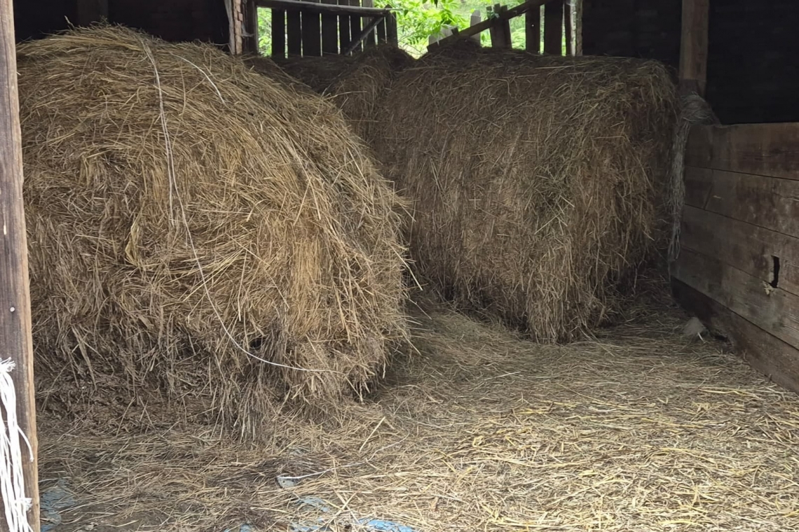 Bo gdy Rolnik potrzebuje pomocy, drugi Rolnik do tej pomocy jest pierwszy