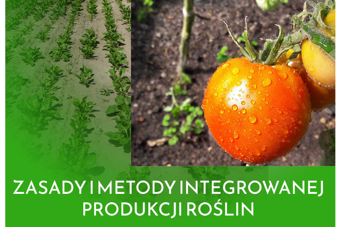 Zasady i metody integrowanej produkcji roślin