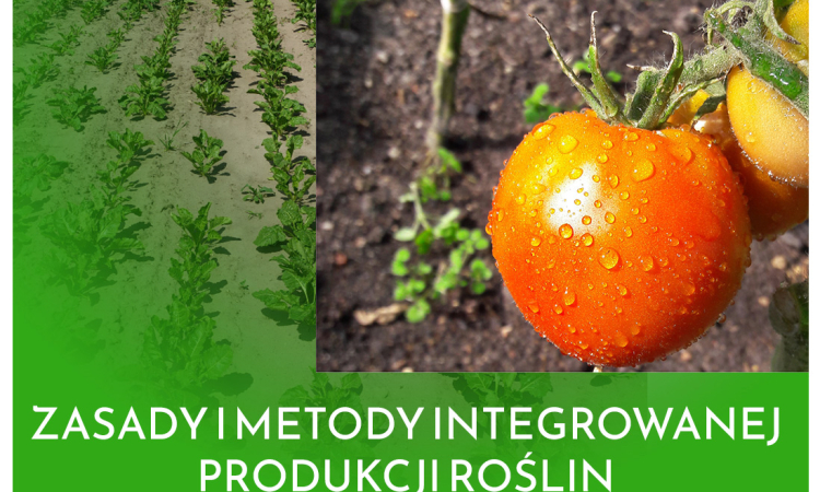 Zasady i metody integrowanej produkcji roślin