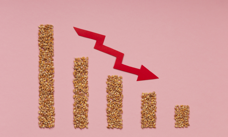 Rolnictwo w kryzysie