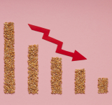 Rolnictwo w kryzysie