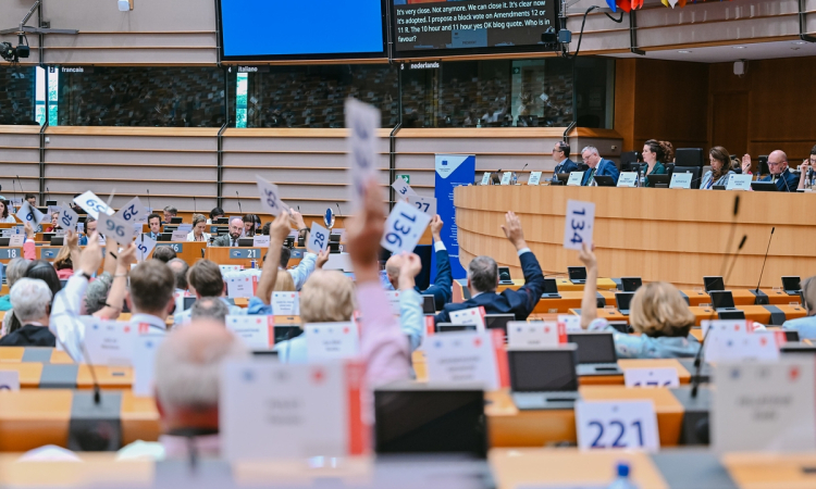 Komitet Regionów o przyszłości europejskiej wspólnej polityki rolnej