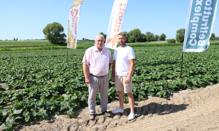Ogórkobranie w Michalczy 2026 połączone z jubileuszem XX-lecia Grupy Producentów „Chrobry”