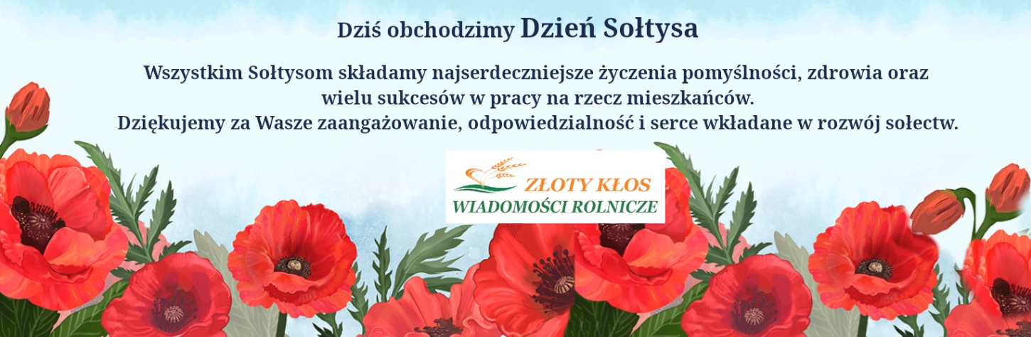 Dni sołtysa